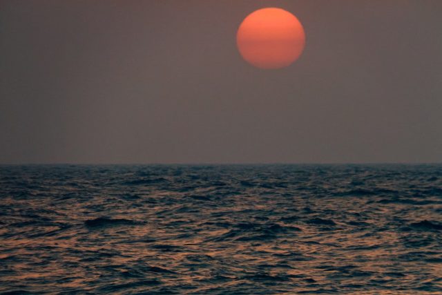 Jak zní bossa nova na břehu Severního moře | foto: Unsplash – Ann Danilina,  Licence Unsplash